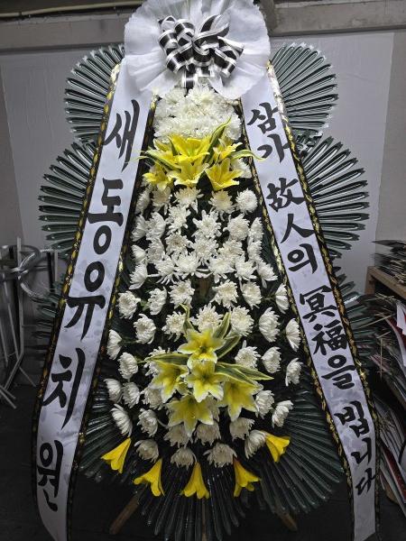 업로드 이미지