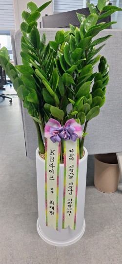 배송사진