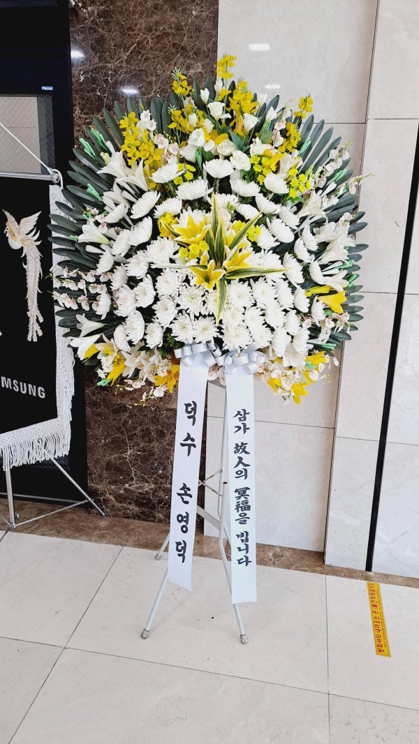 업로드 이미지