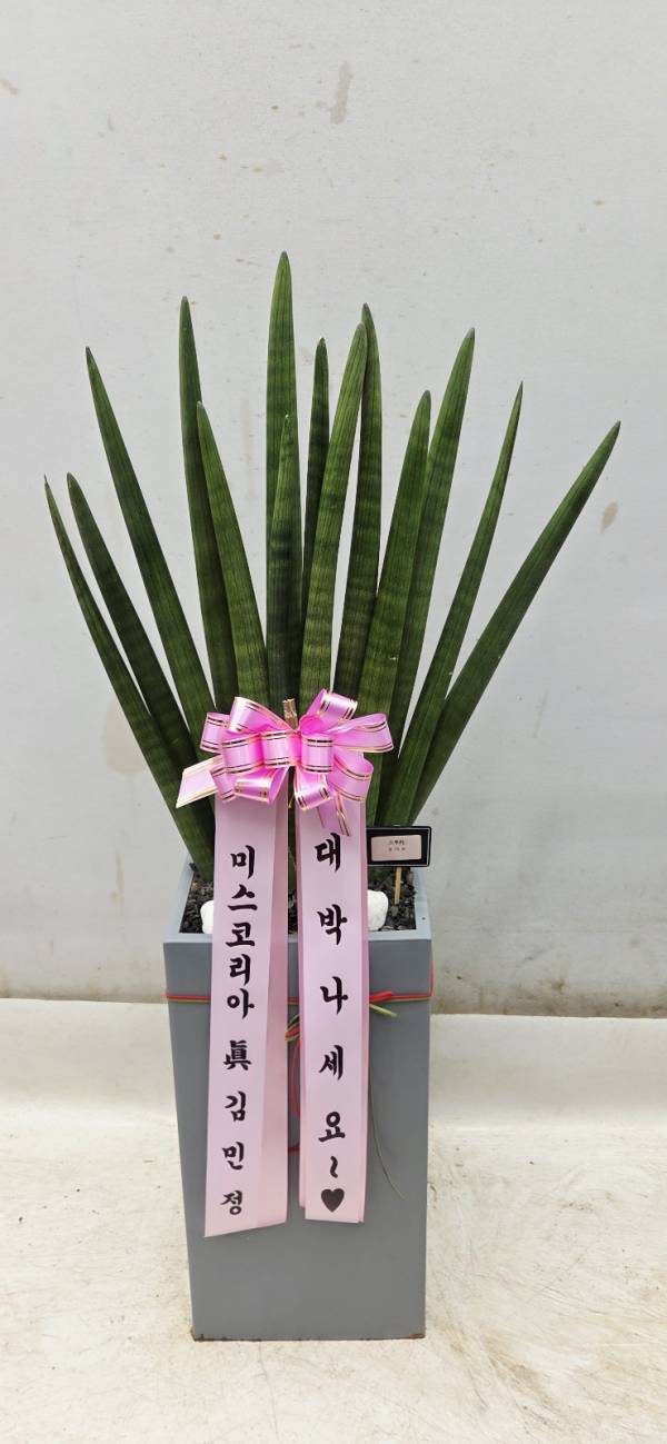 업로드 이미지