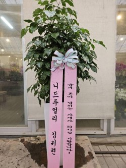 배송사진