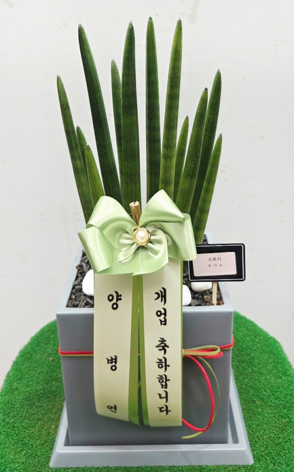 업로드 이미지