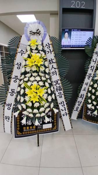 업로드 이미지