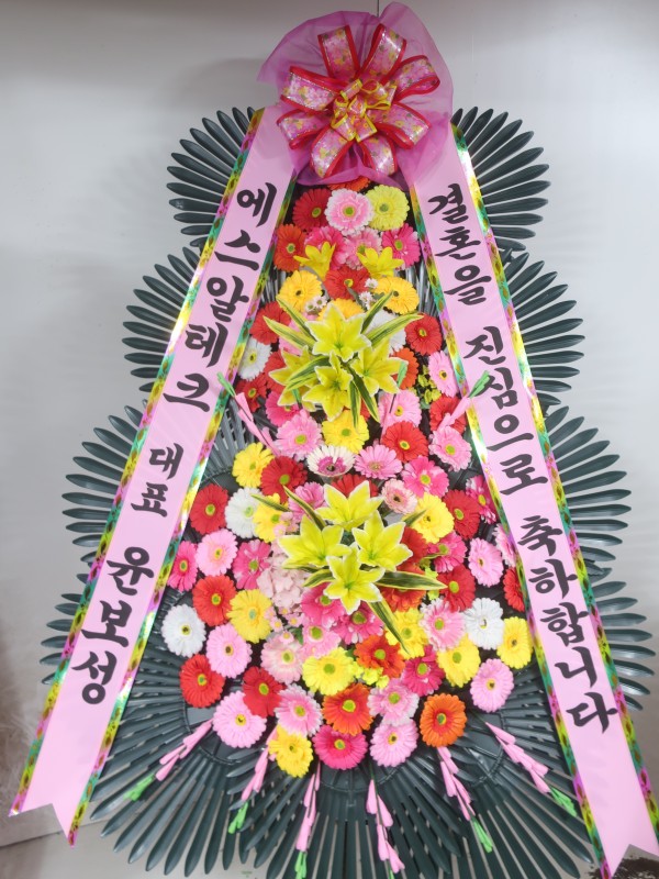 업로드 이미지