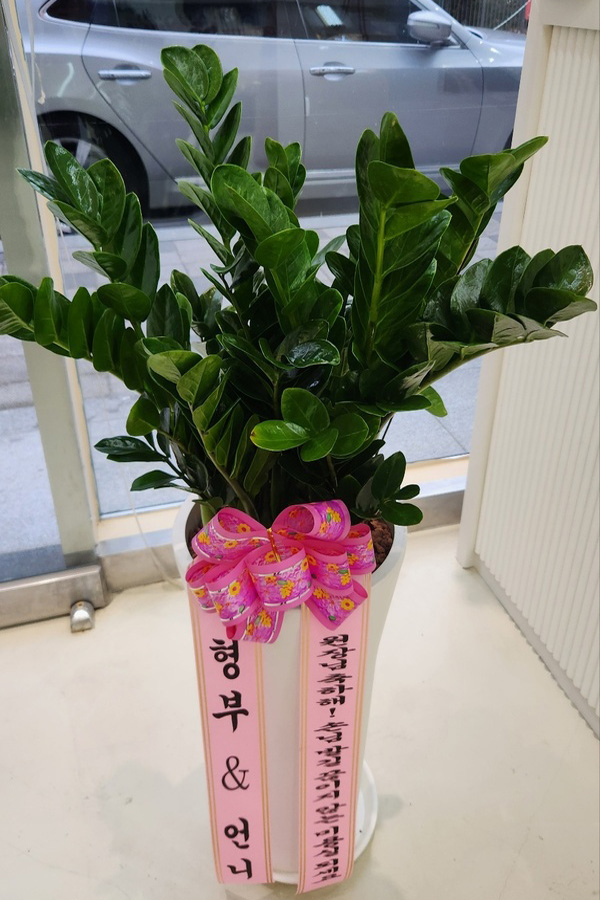 업로드 이미지