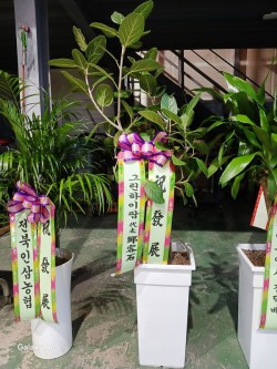 배송사진