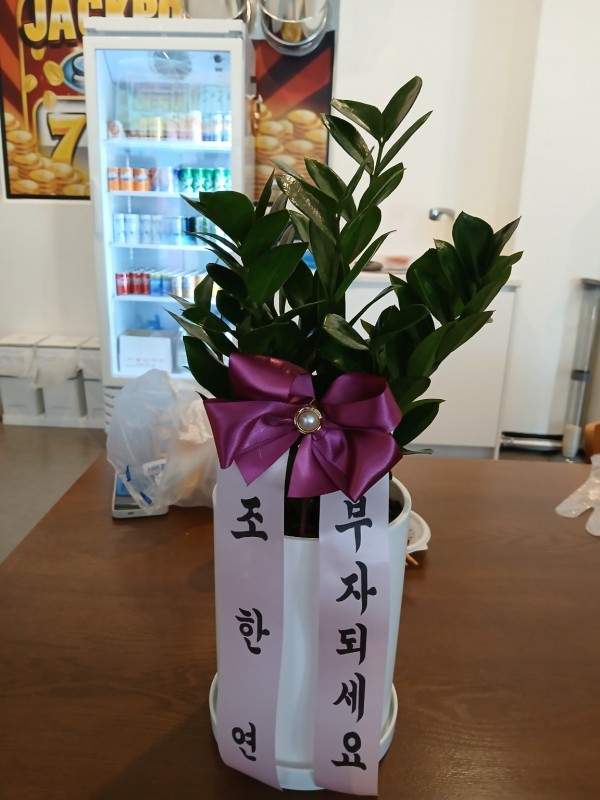 업로드 이미지