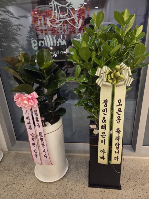 업로드 이미지