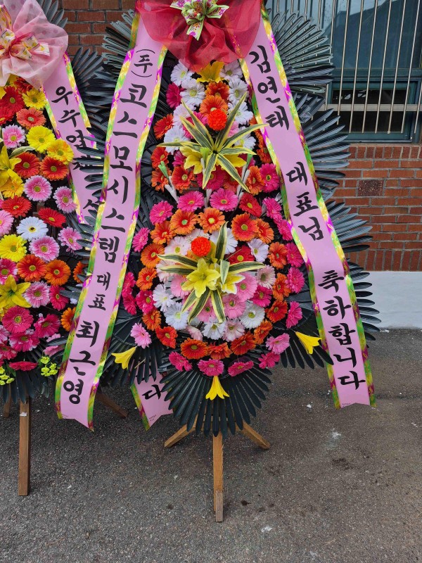 업로드 이미지