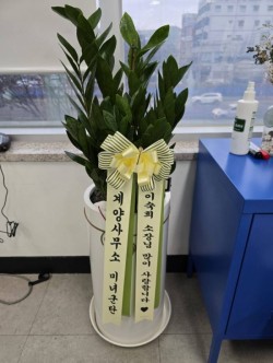 배송사진