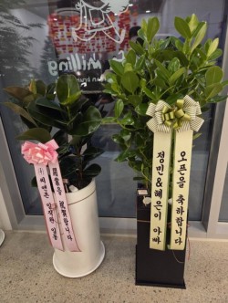 배송사진
