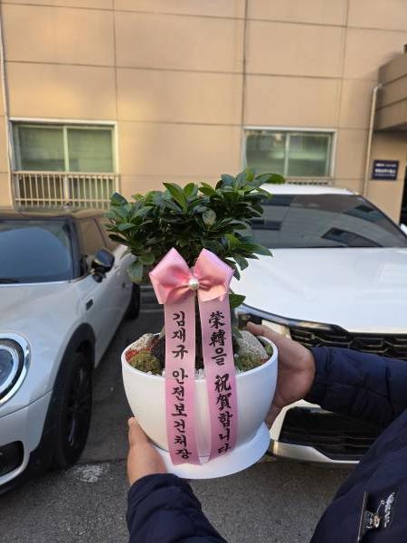 업로드 이미지