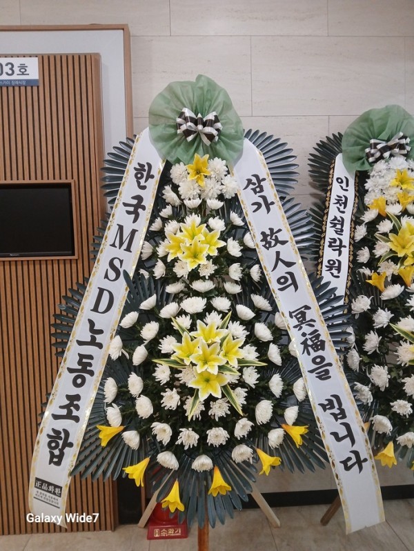 업로드 이미지
