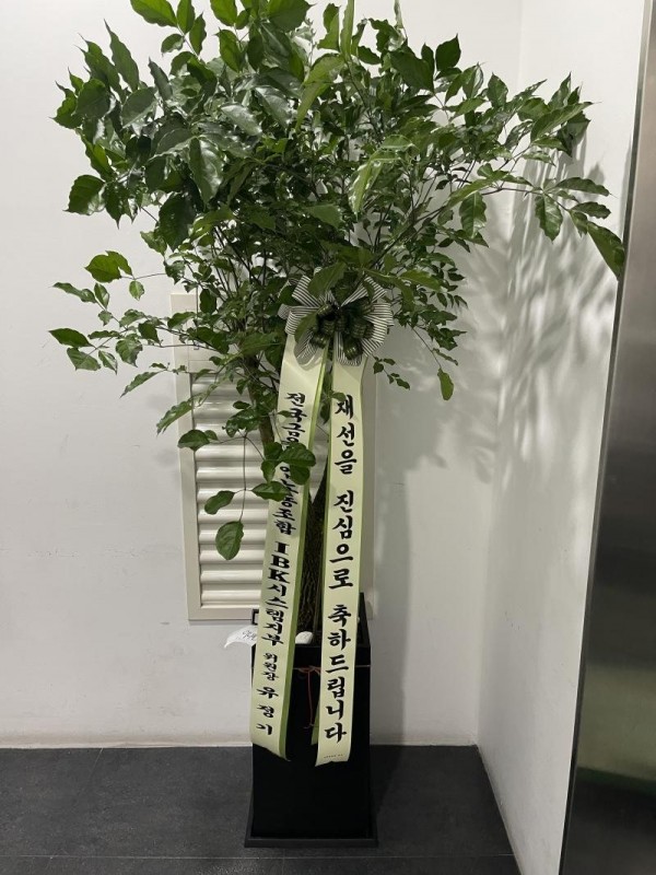 업로드 이미지