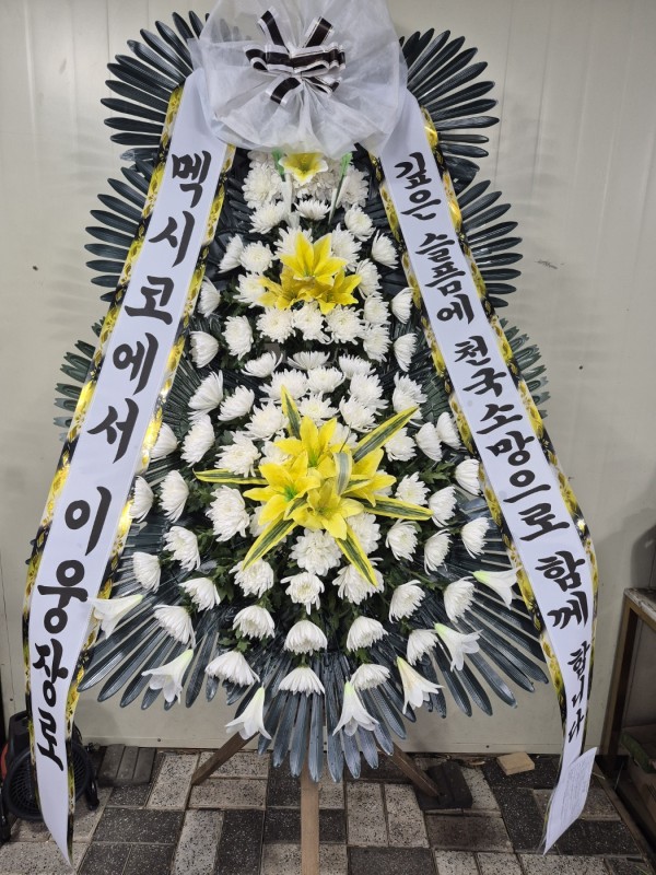 업로드 이미지