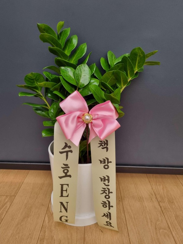 업로드 이미지
