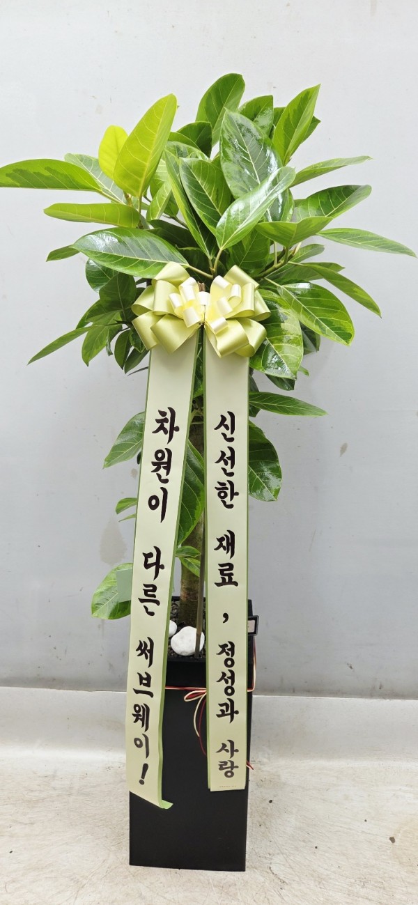 업로드 이미지