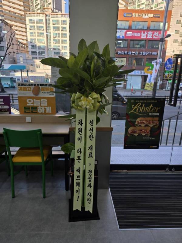 업로드 이미지