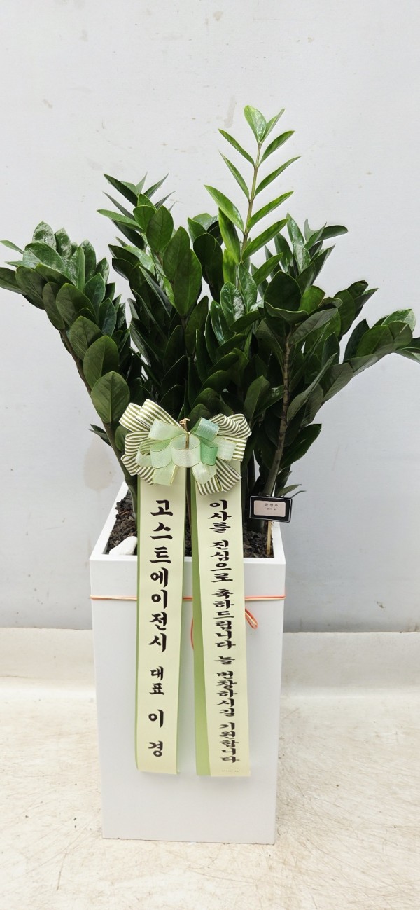 업로드 이미지