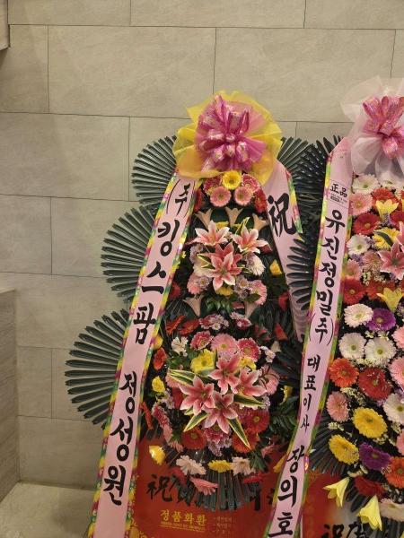 업로드 이미지