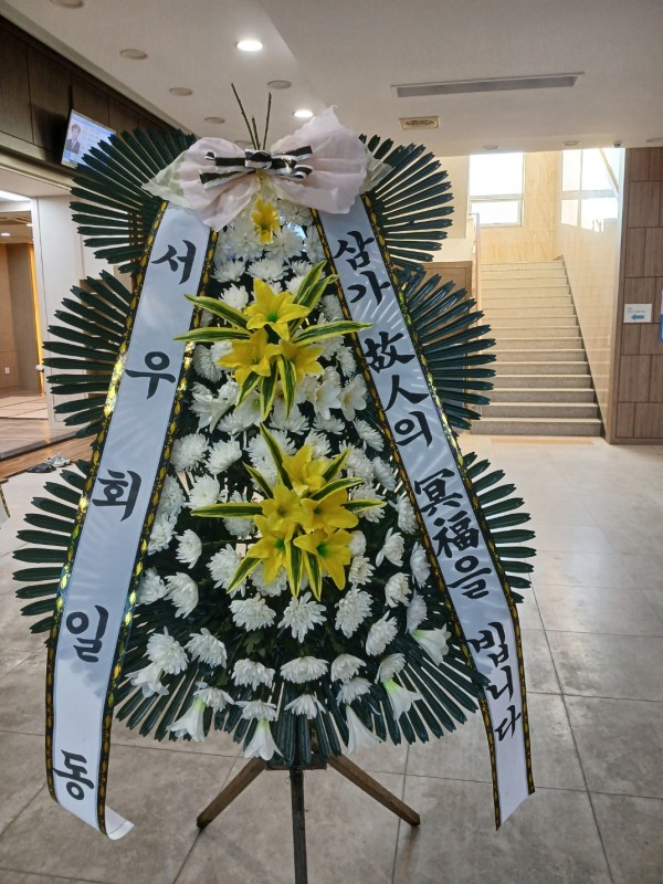 업로드 이미지