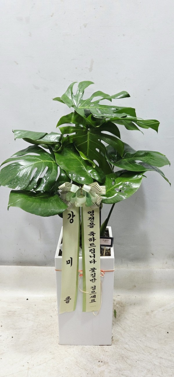 업로드 이미지