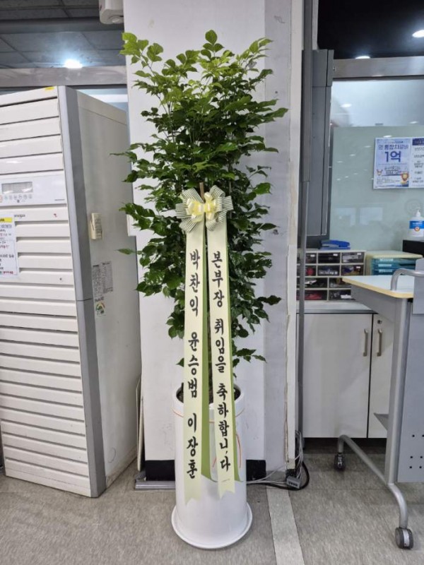 업로드 이미지