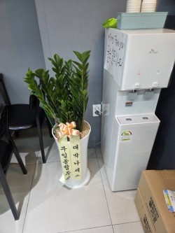 배송사진