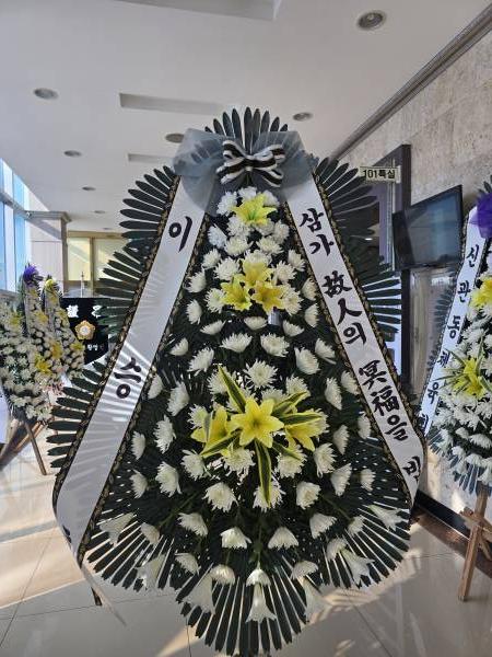 업로드 이미지