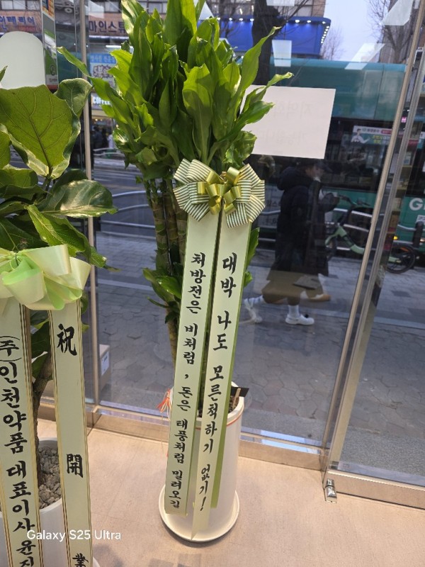 업로드 이미지