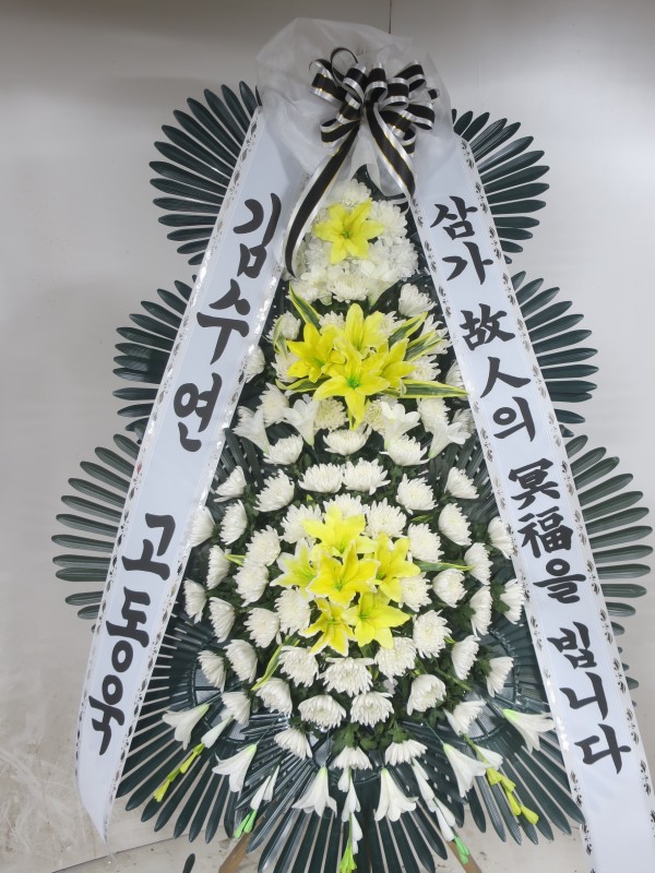 업로드 이미지