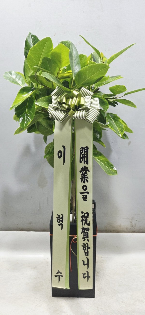 업로드 이미지