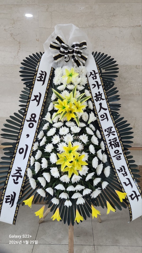 업로드 이미지