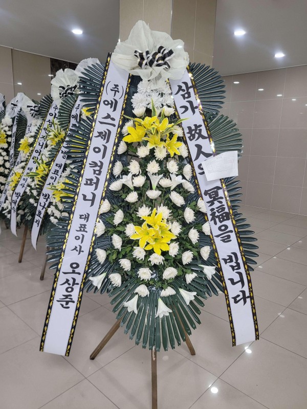 업로드 이미지