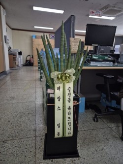배송사진
