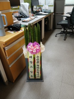 배송사진