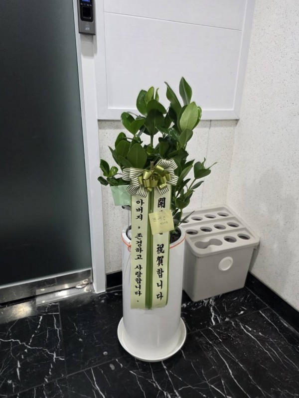 업로드 이미지