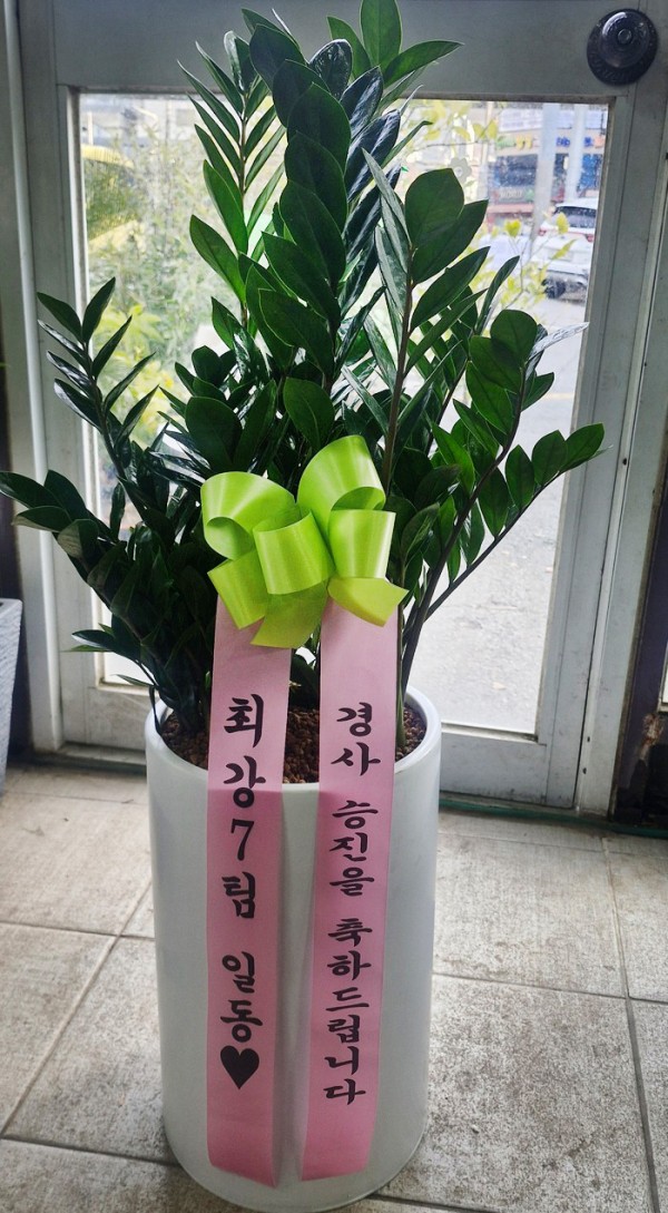 업로드 이미지