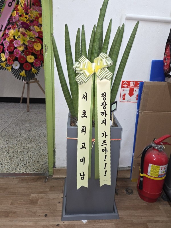 업로드 이미지