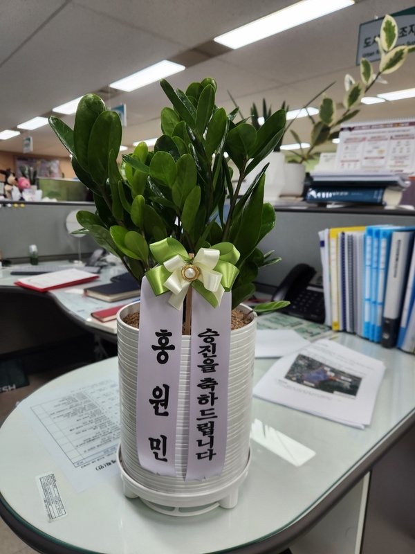 업로드 이미지