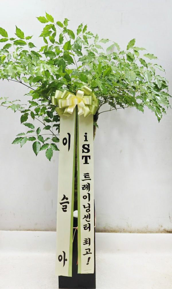 업로드 이미지