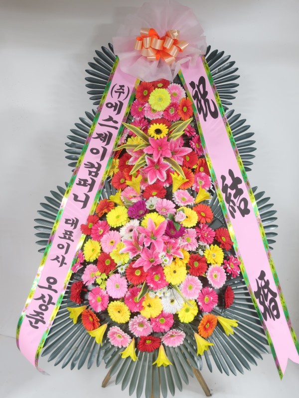 업로드 이미지