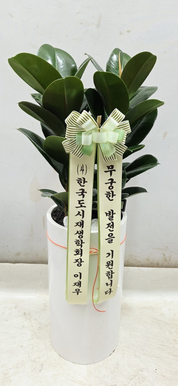 업로드 이미지