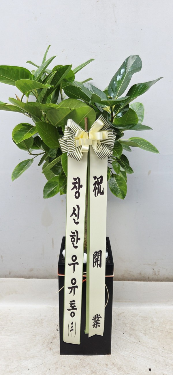 업로드 이미지