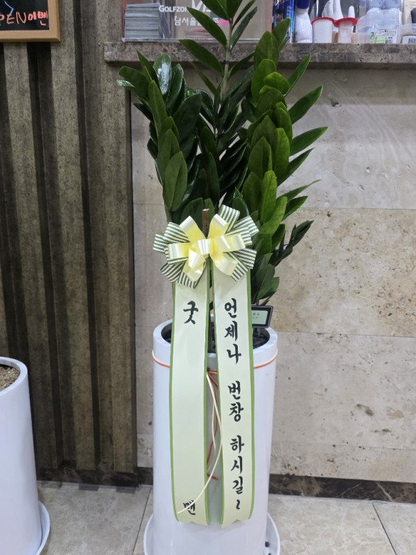 업로드 이미지