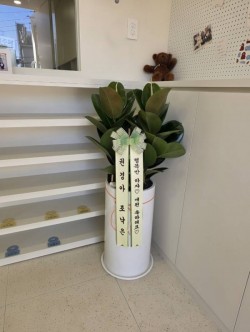 배송사진