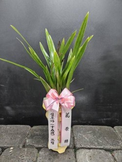 배송사진