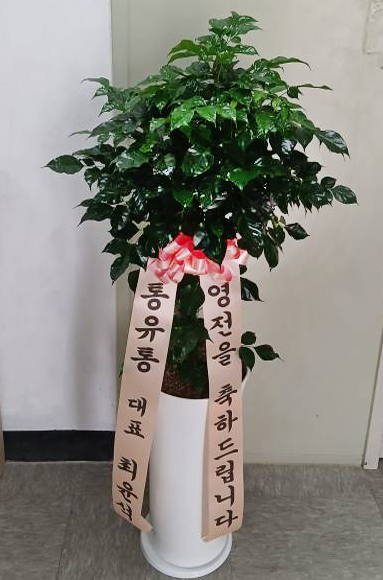 업로드 이미지
