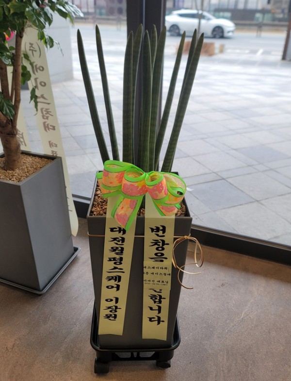업로드 이미지