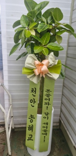 배송사진